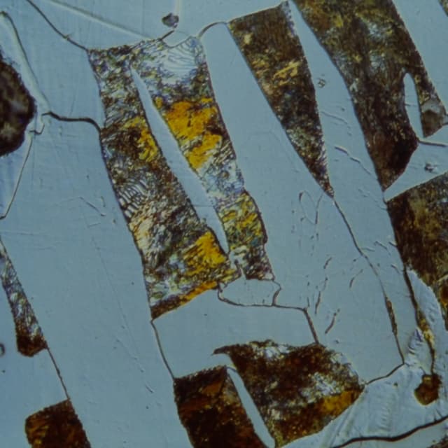 Ferrite and pearlite microstructure in steel